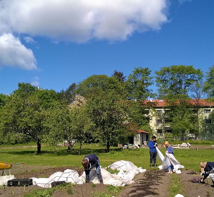 Hei nuori kesälomalainen! Nyt ois kivaa kesätekemistä tarjolla.
Tule oppimaan pu…