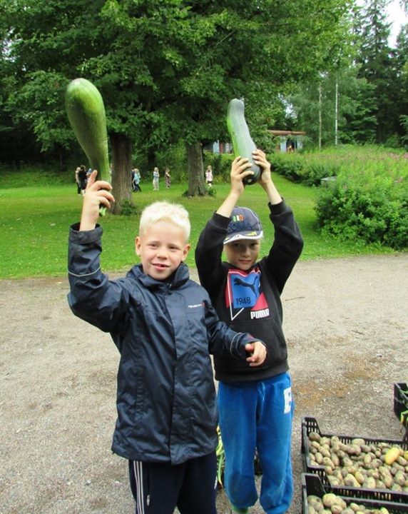 Kiitos kaikille kesän leiritoimintaan osallistuneille! Kumpulan koulukasvitarhal…