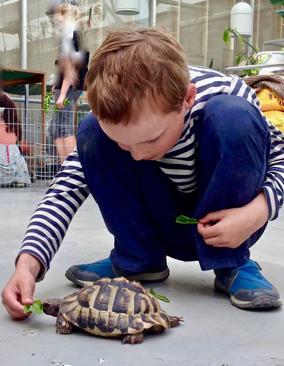 Muistathan että torstaina avautuu kesän leirihaku